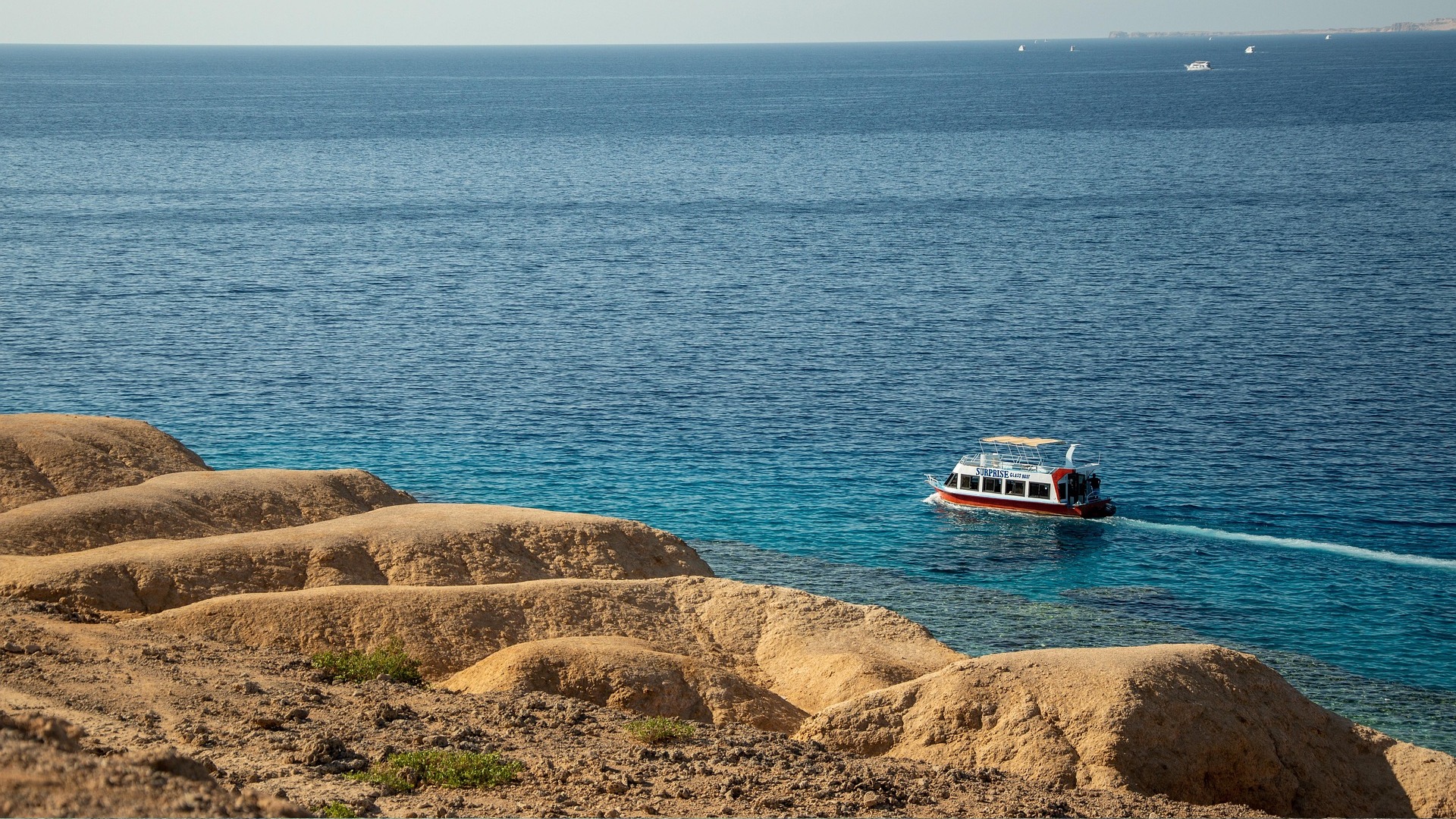Diving in the crystal-clear waters of Sharm El-Sheikh